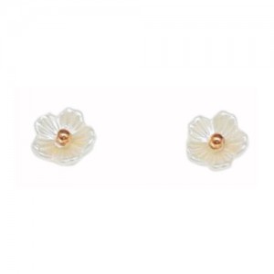 Stainless Steel And Resin Ear Studs (SES42RG)