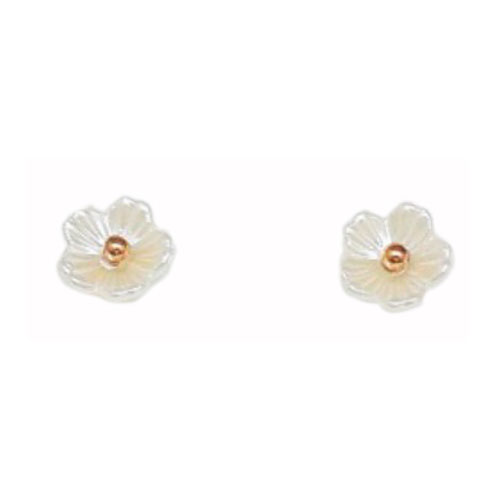 Stainless Steel And Resin Ear Studs (SES42RG)