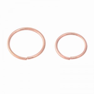 Rose Gold PVD Coated Seamless Steel Twist Rings (PFRGSR*)