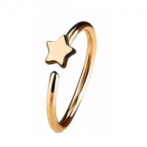 Rose Gold PVD Coated Steel Nose Ring Fixed Star (NR273RG)
