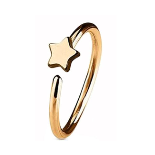 Rose Gold PVD Coated Steel Nose Ring Fixed Star (NR273RG)