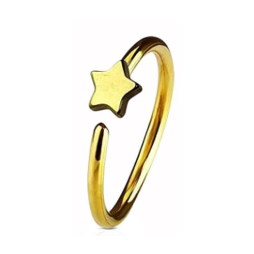  Gold PVD Coated Steel Nose Ring Fixed Star (NR273G)