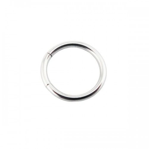 316L Surgical Steel Segment Rings (PFMT*)