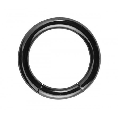 Black PVD Coated Steel Segment Rings (PFBMT)