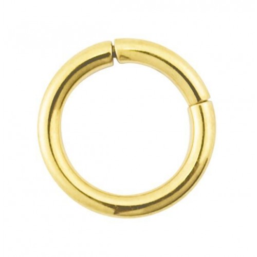 Gold PVD Coated Steel Segment Ring (PFGMT**)