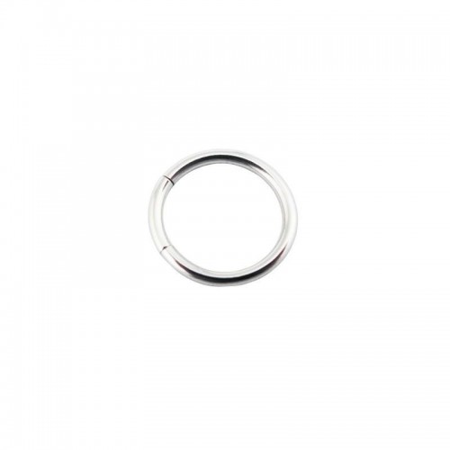 Titanium Segment Ring (TMT**)